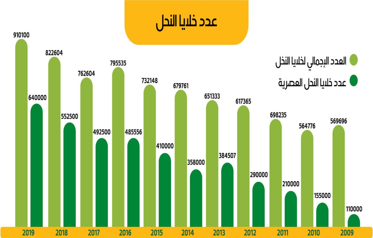 عدد خلايا النحل