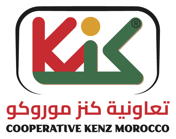 kenzmorocco logo